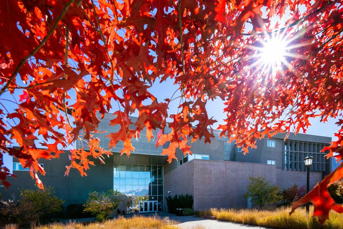 Home Colorado College