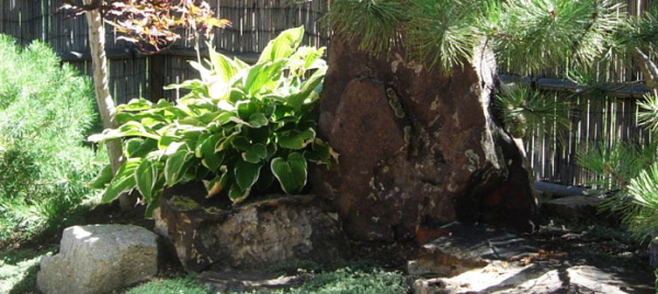 Japanese Garden at Asia House, Colorado College, designed by Takashi Hayashi, master gardener from Japan, and built by Mr. Hayashi with help from students, staff and faculty. 