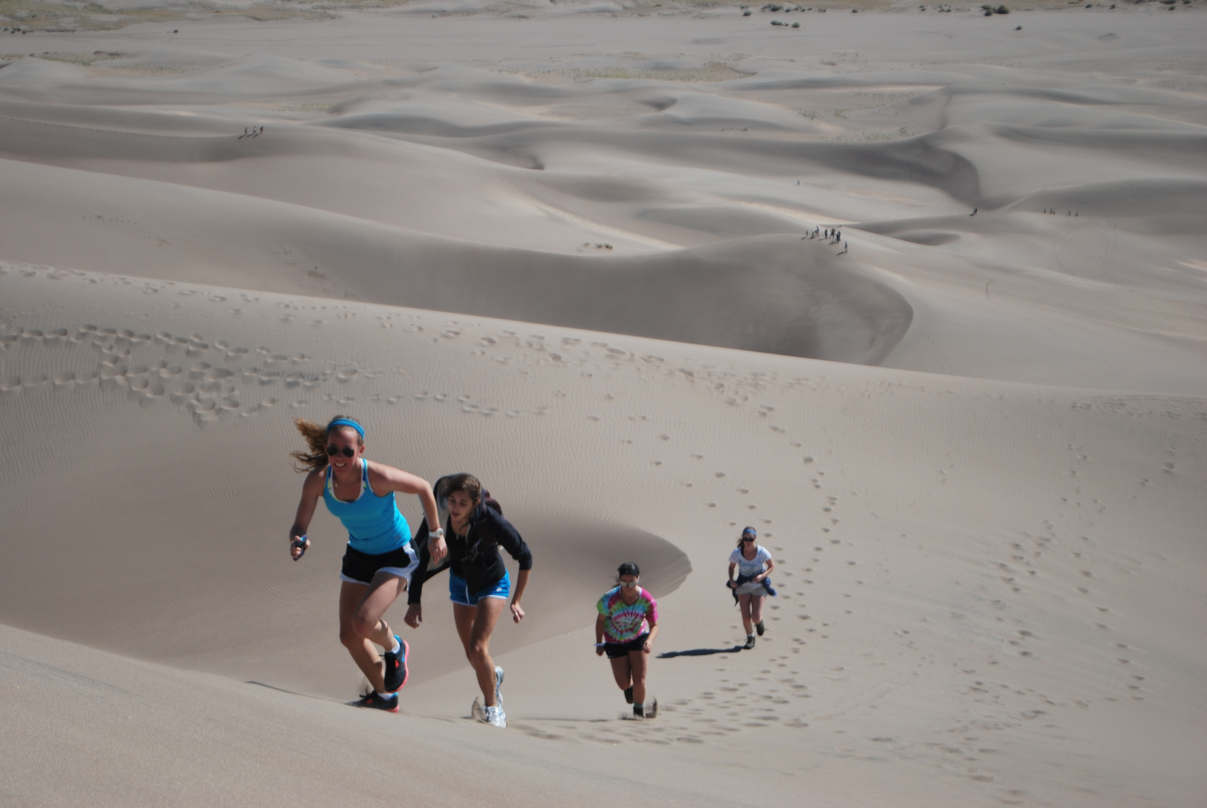 FYE students at Sand Dunes National Park. <span class="cc-gallery-credit"></span>