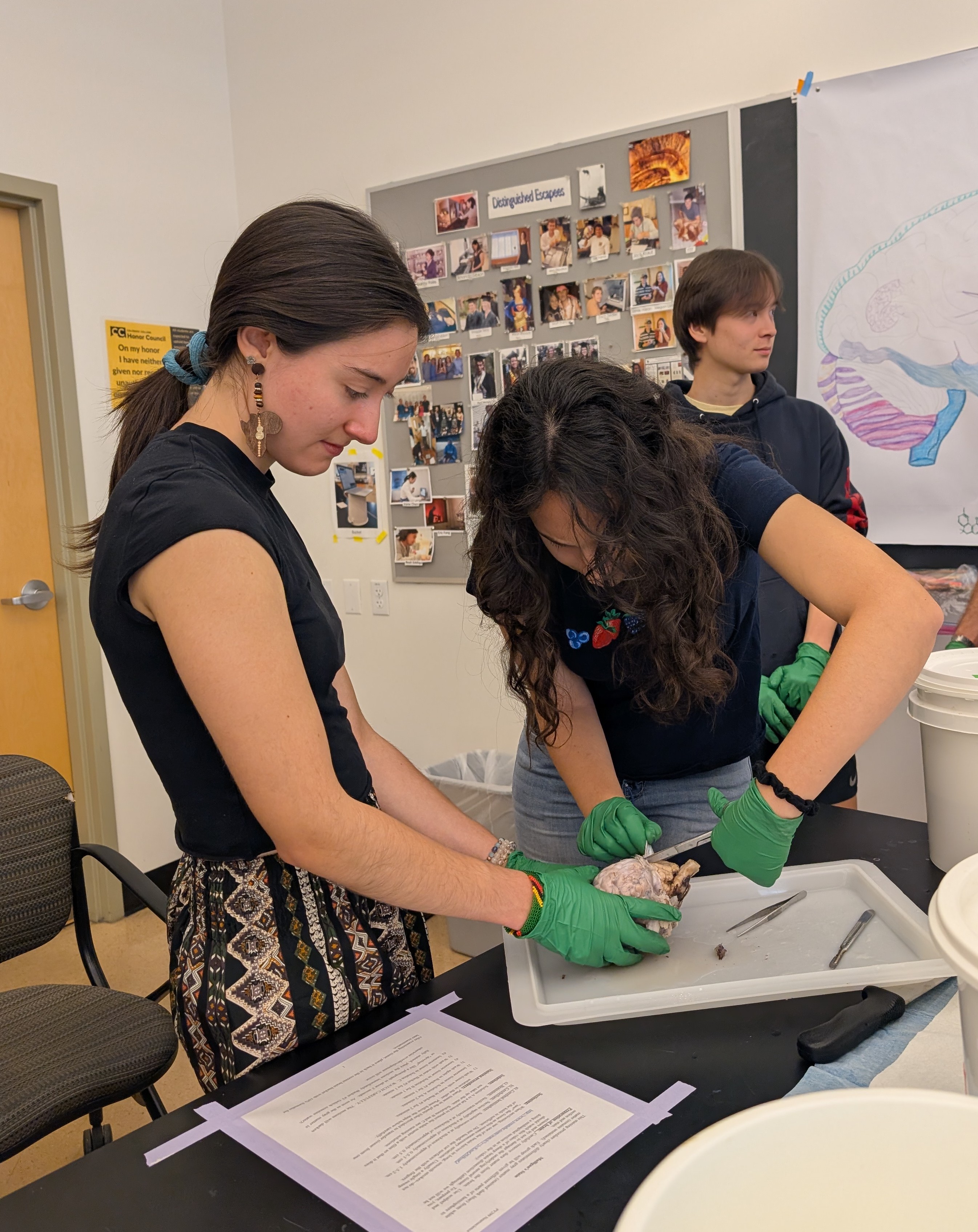 <span class="cc-gallery-credit"></span>