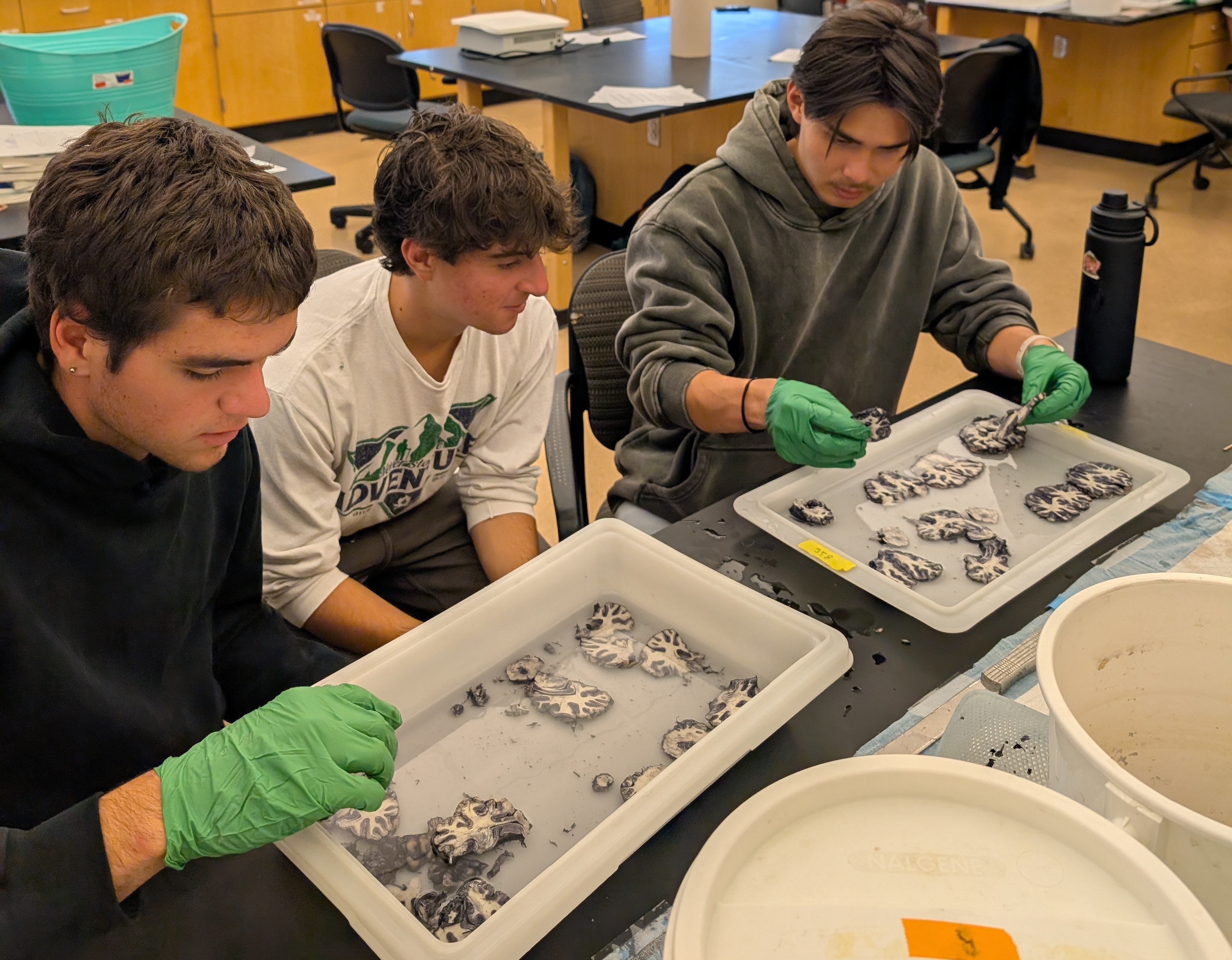 <span class="cc-gallery-credit"></span>