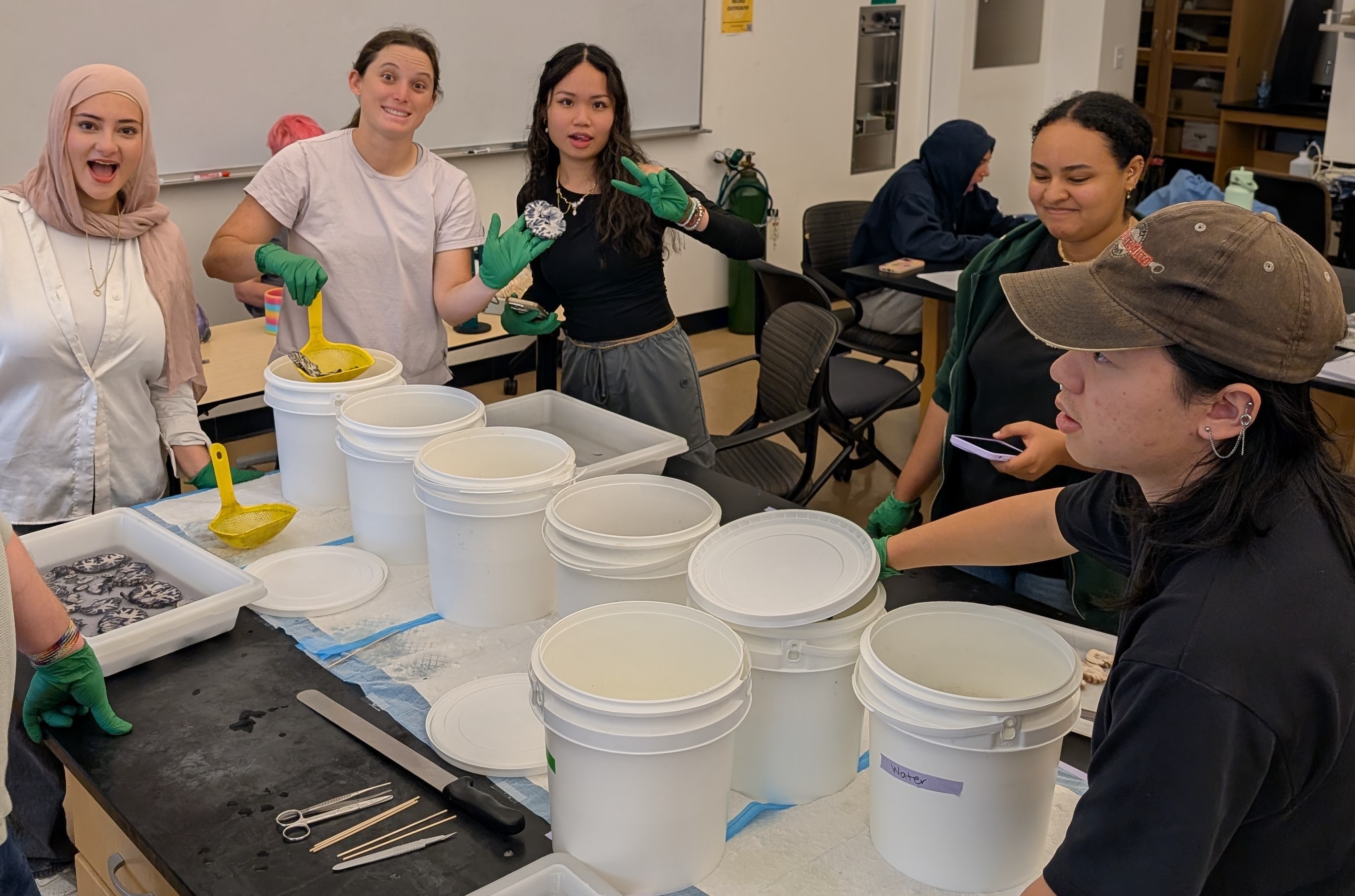 <span class="cc-gallery-credit"></span>