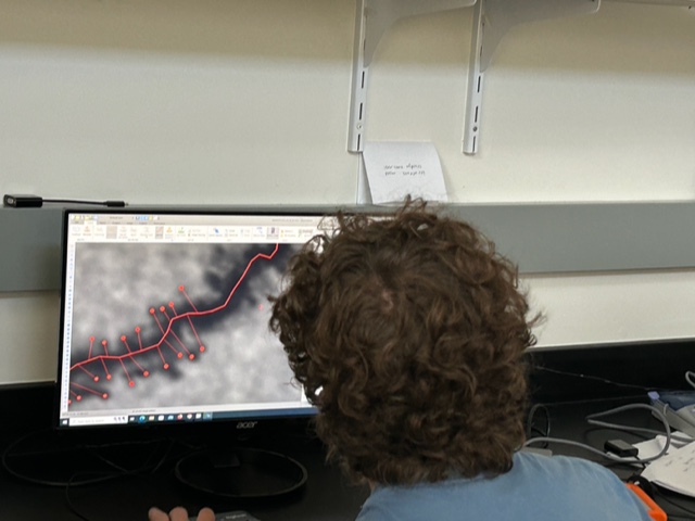 Neuron tracing