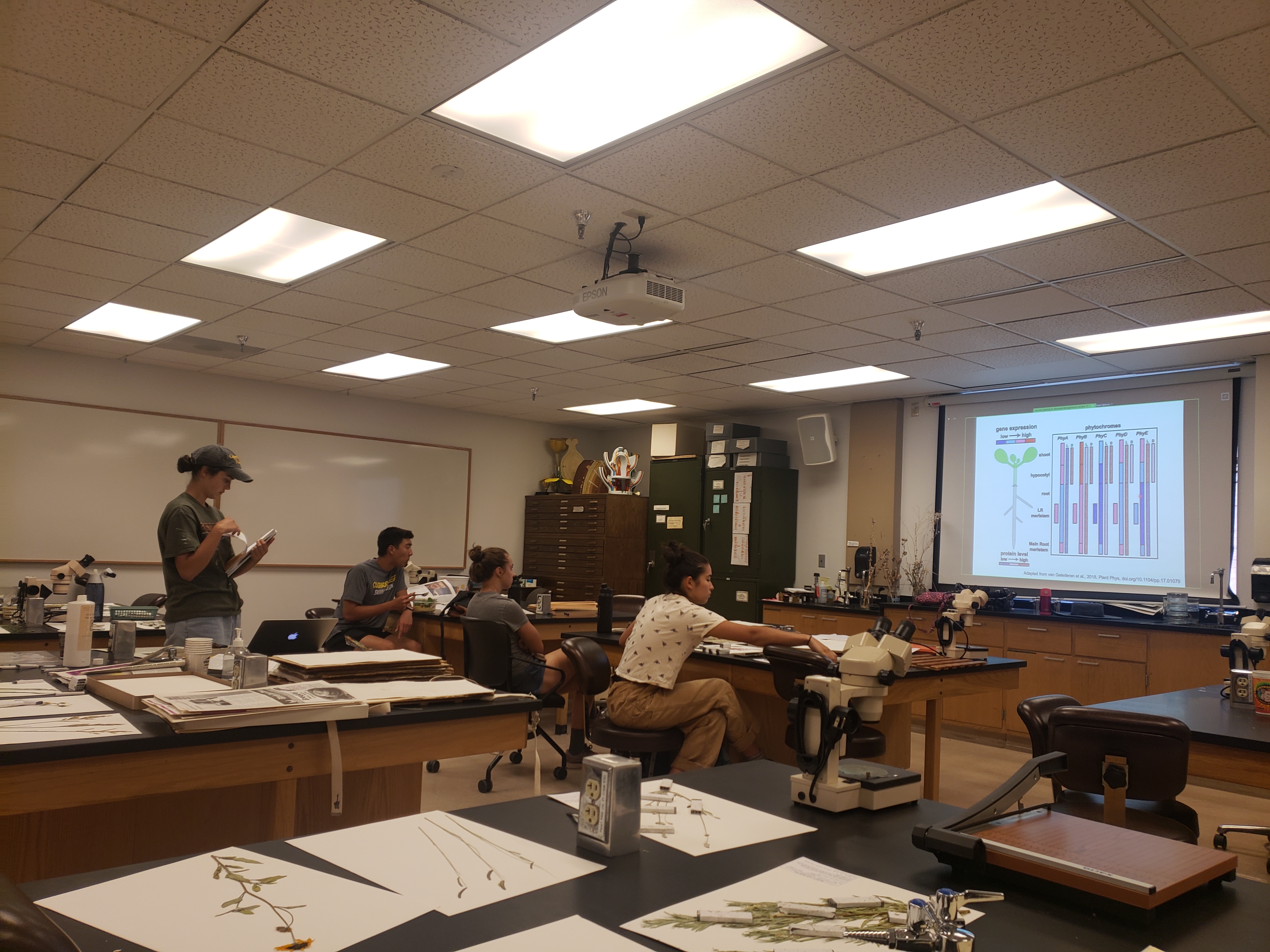 Students in Dr. Jabaily's summer Field Botany class learn how to make their own herbarium specimens. <span class="cc-gallery-credit">[Rachel Jabaily]</span>