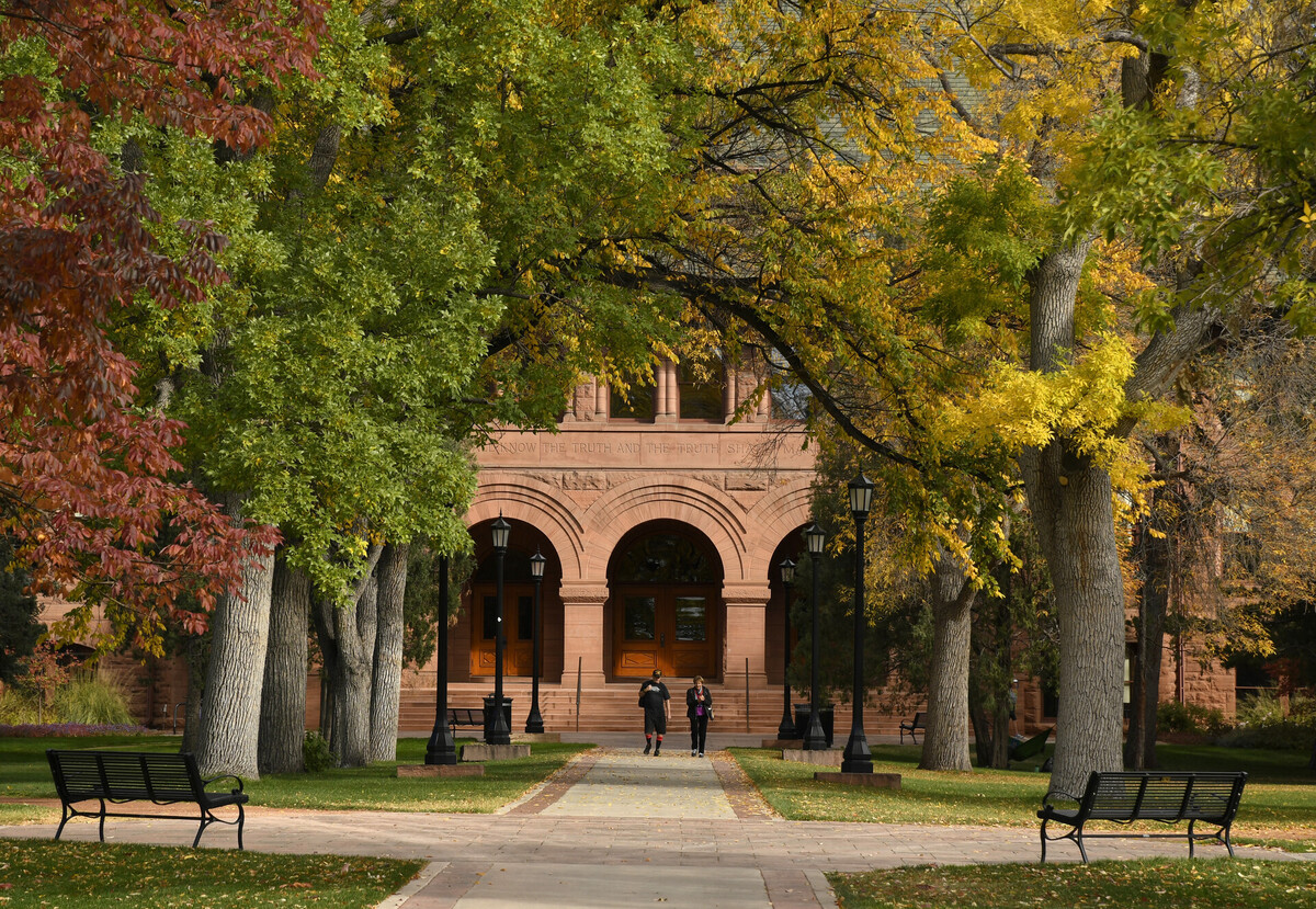 A tree lined path to a campus building shows some fall color.