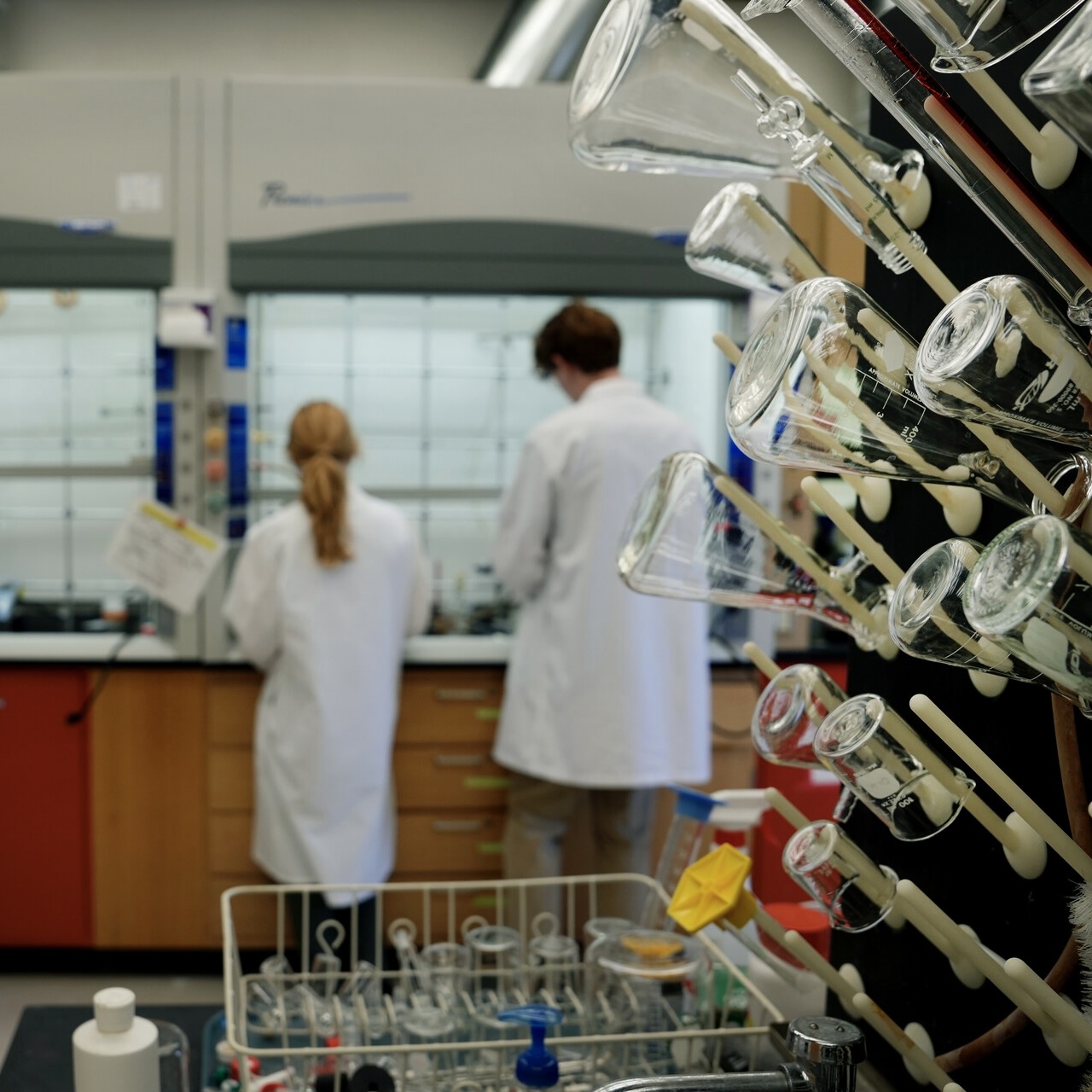 Four Alumni Win National Science Foundation Fellowships