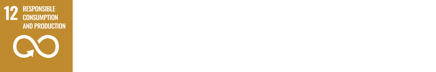 SDG 12