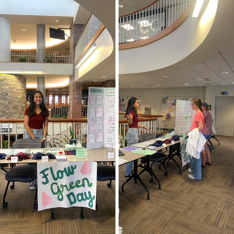 EcoFund Flow Green Day
