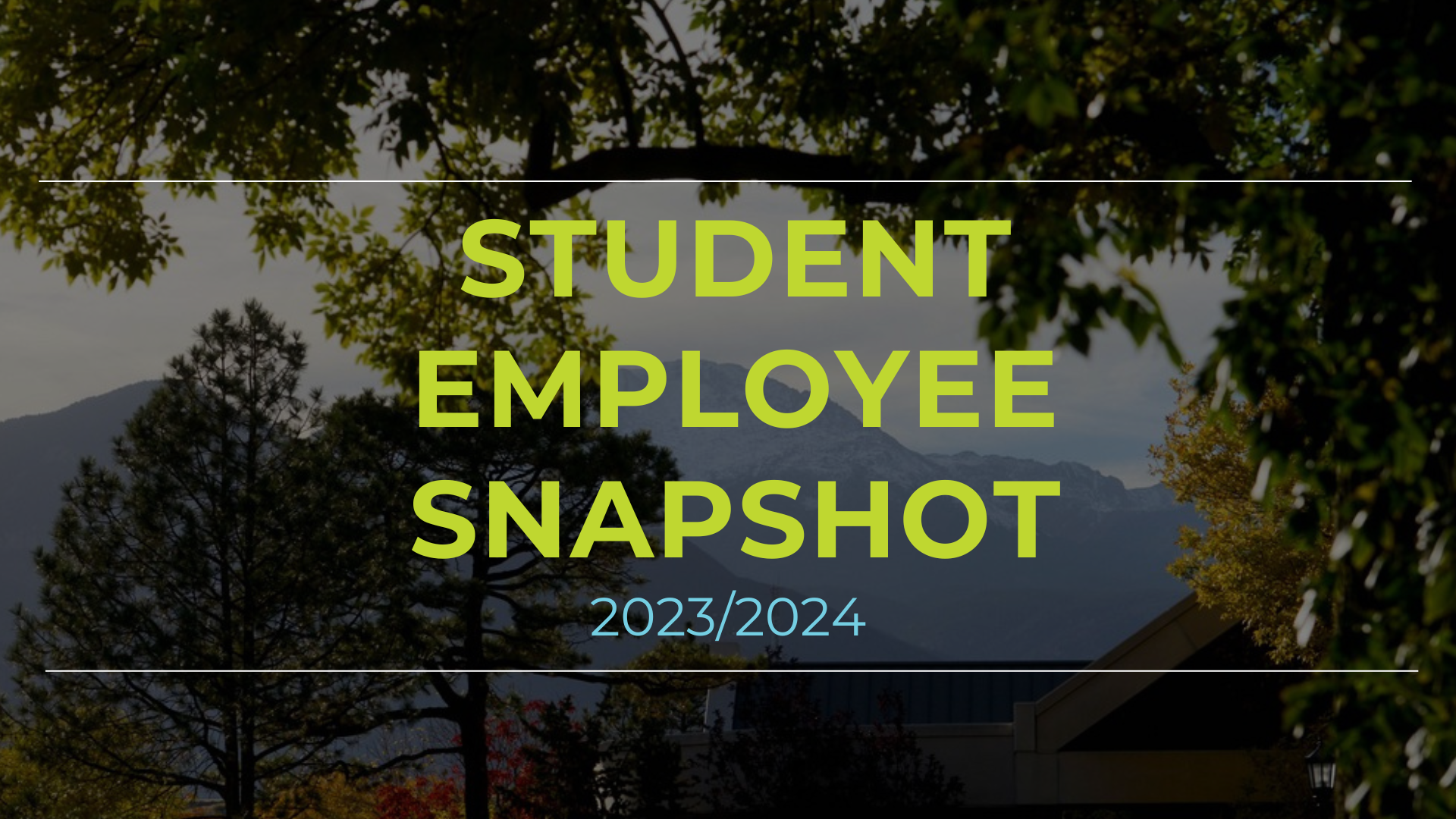 Card to access student employee snapshot