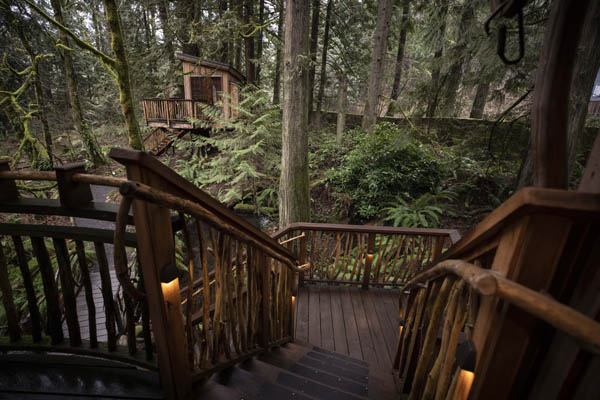 treehouse stairs