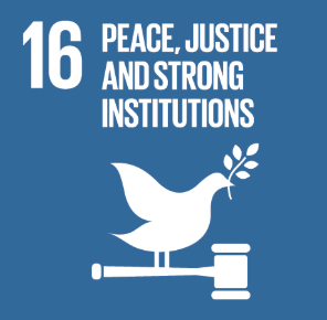 16 Peace and Strong Institutions