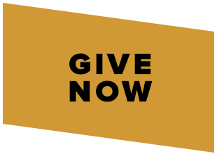 Give Now graphic